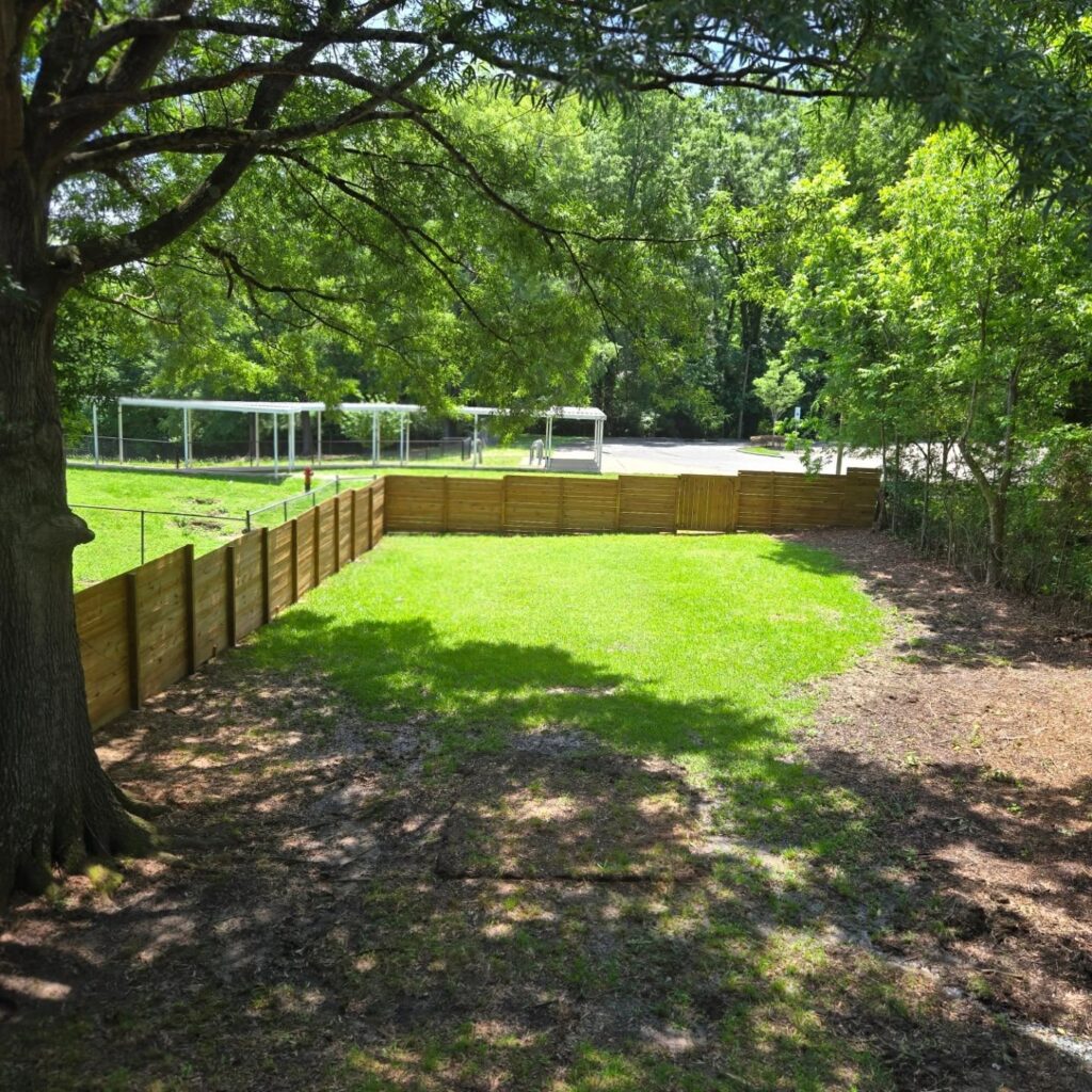 500025953 18046654010386316 4386396676887283619 n